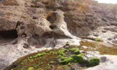 IMG_8652-min kaysay illapel