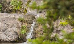 IMG_9240-min kaysay illapel