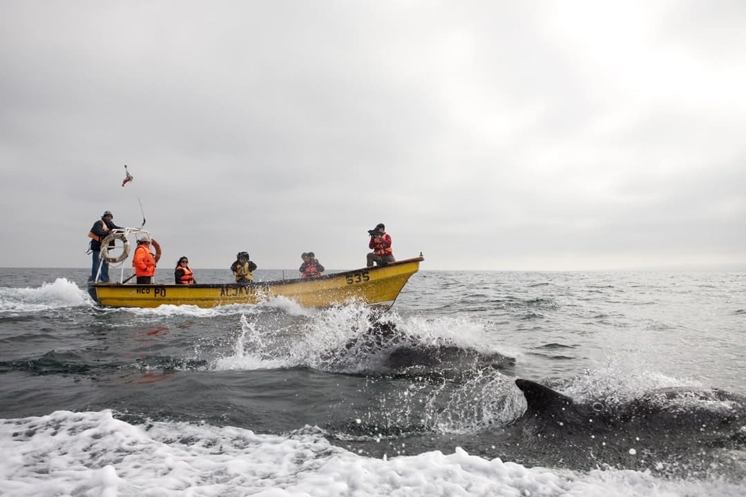 _MGL0410-min-min los choros