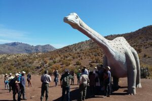 TURISMO PALEONTOLÓGICO Monumento Natural de Pichasca-min-min