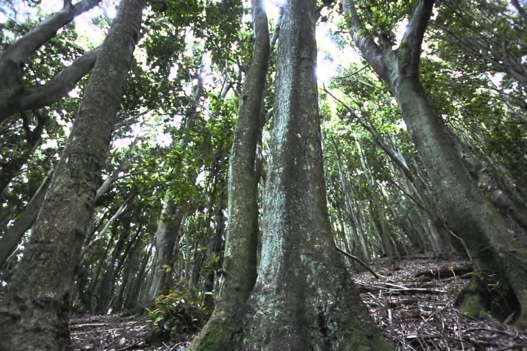 atractivos provincia del choapa