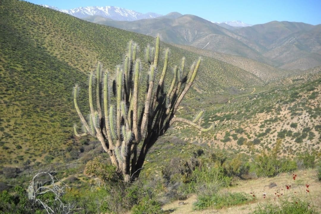 atractivos provincia del choapa