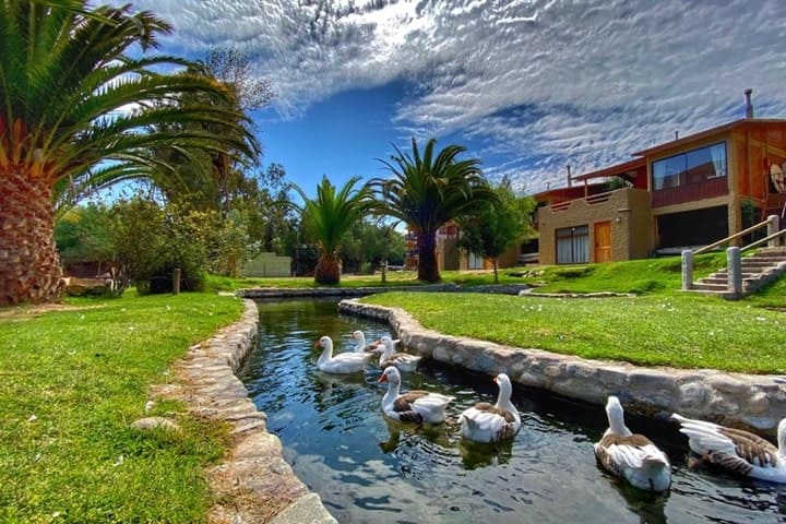 FOTOGRAFIA EMPRESA - Yassef Andrés Adaro Alvarez-min club playa blanca